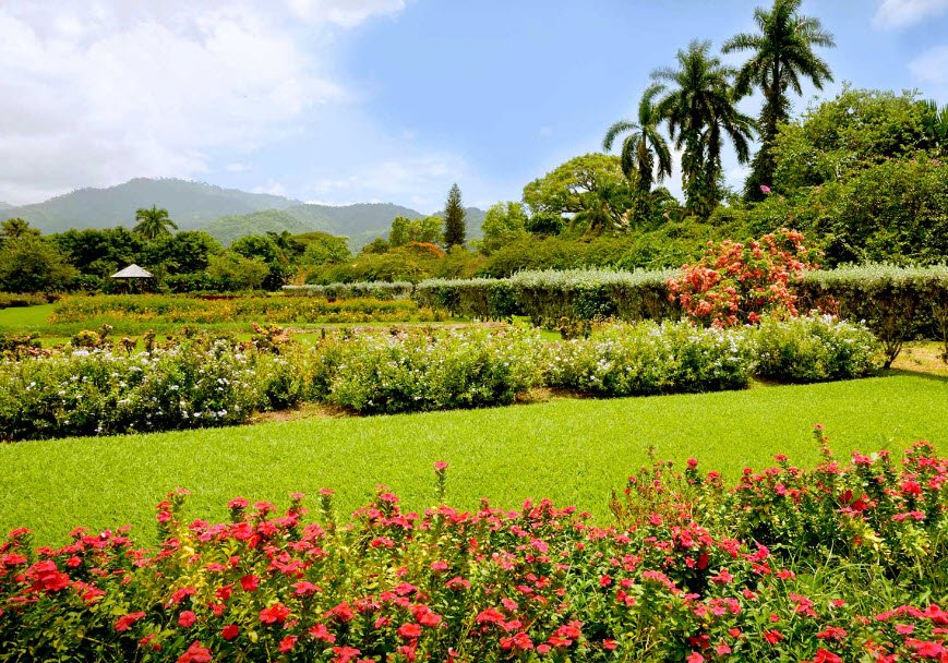 Hope Botanical Gardens, Jamaica